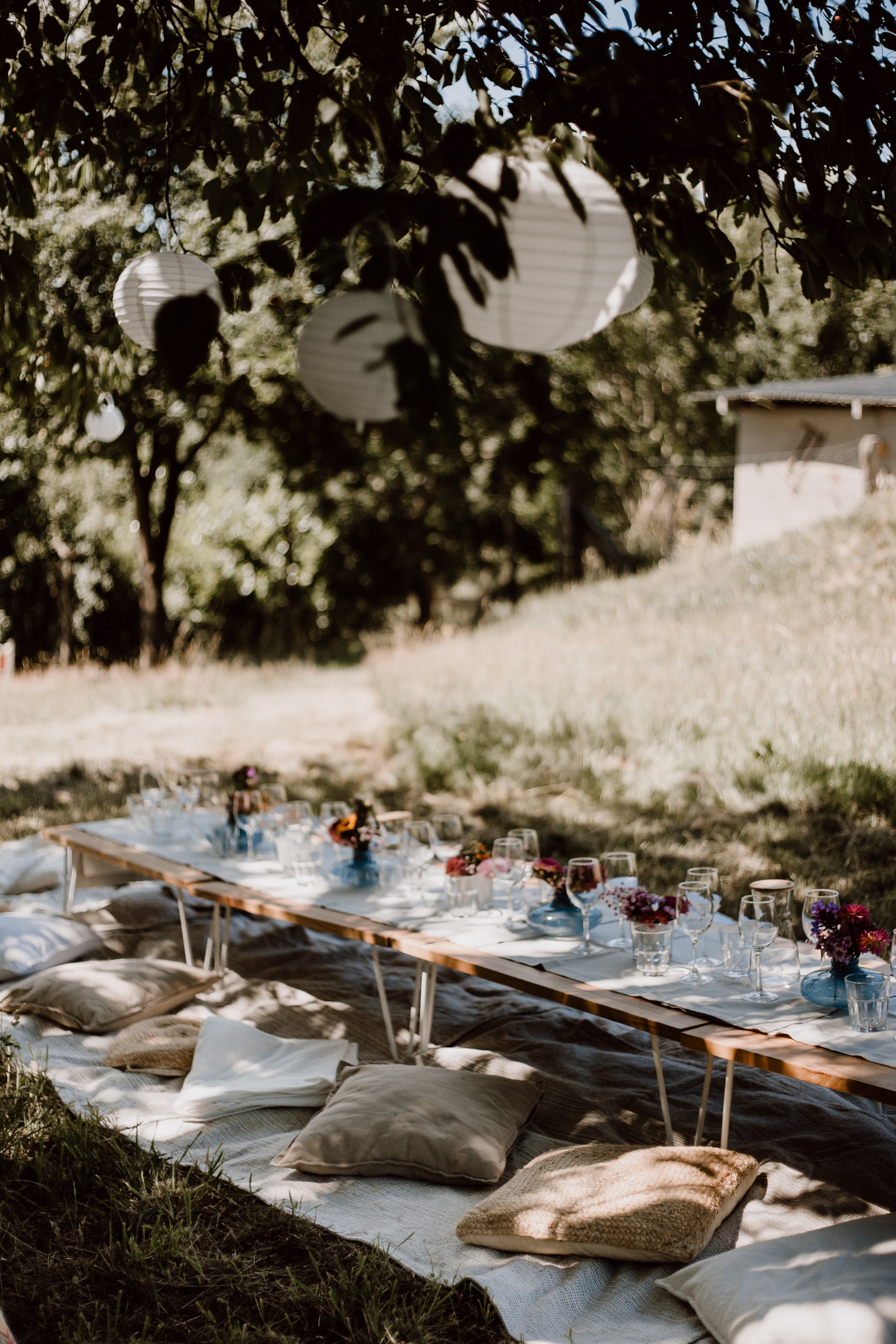 Header image 1